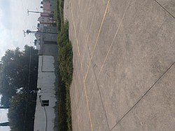 Podando nuestro parque