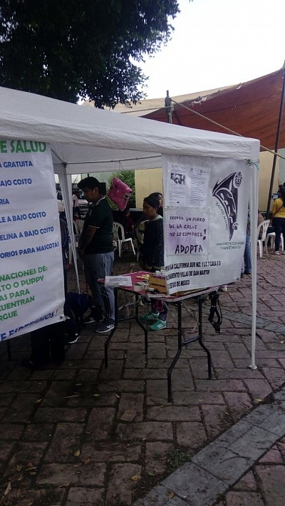 Jornadas de salud animal