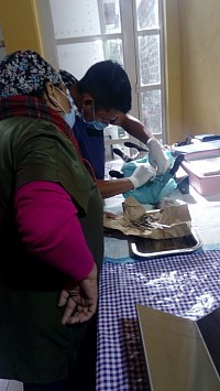 Seguimos con las campañas de esterilización. Se realizó en la loma San Martin Cuautlalpan Chalco. Fecha 23 de marzo del 2023 gratuitas