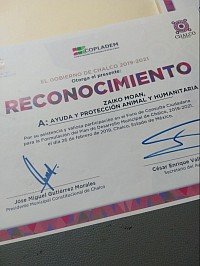 Hemos participado en el comité de planeación para el desarrollo del estado de México