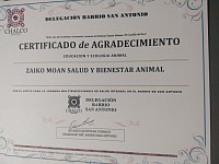Jornada de salud animal