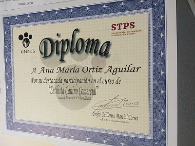 Curso estética canina