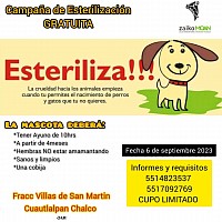 Campaña de esterilizacion