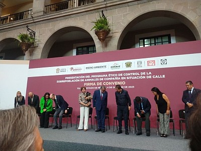 Gobernadora del estado de México
