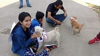 Niños