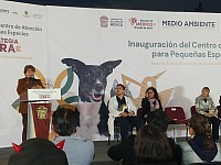 Nuevo hospital veterinario en Texcoco